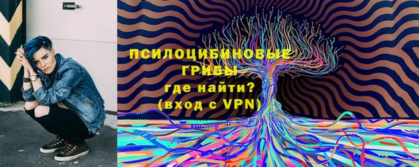 ешки Михайловка