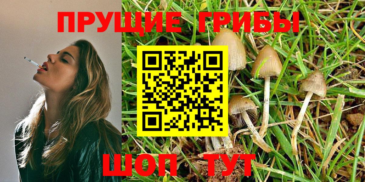купить наркотик  Архангельск  Псилоцибиновые грибы MAGIC MUSHROOMS 